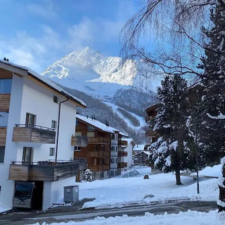 Apartment ***new*** Cozy Studio In Center Of