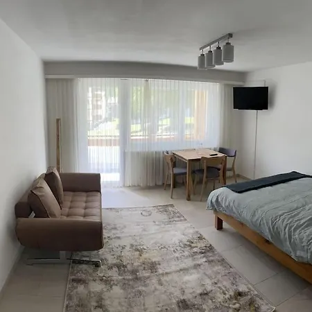***new*** Cozy Studio In Center Of Saas-Fee